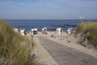 Path made of wooden boards between the dunes, beach chairs on the sandy beach, Loddin, Usedom