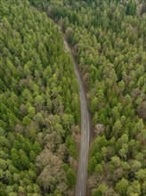 Bird's eye view shows a long, winding road through a dense, green forest, secluded from