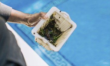 Man cleaning garbage filter basket for swimming pool. trash. Hand holding swimming pool filter