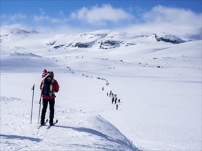 National day 17th May, Norwegians hike on ski, carrying norwegian flags, hike from Finse, highest