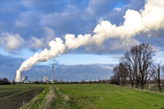 The STEAG coal-fired power plant Duisburg-Walsum, on the site of the former Walsum colliery, on the