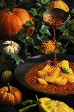 Pumpkin, goulash is poured into a plate, green leaf decoration, autumnal Halloween atmosphere,