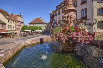 Market fountain with blooming pelargoniums, old market square, Schnatterloch, Miltenberg, Lower