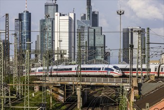 Central station with railway bridge and ICE. Skyline of the financial centre of Frankfurt am Main,