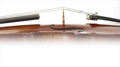 Violin, close-up