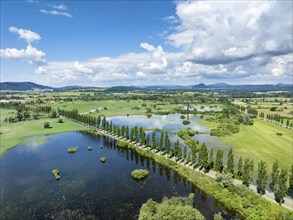 Aerial view of western Lake Constance with the Radolfzeller Aachried and the Mooser Damm at high