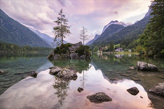 Hintersee with rocks and trees in the foreground, surrounded by mountains after sunset with