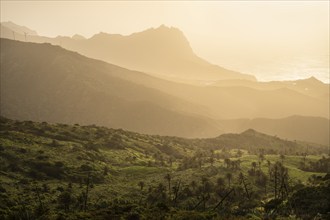 Landscape with mountains and palm trees on the north-west coast of La Gomera at the golden hour.