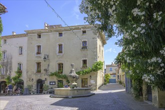 Square with fountain and large white flowering oleander in the old town centre of Venasque,