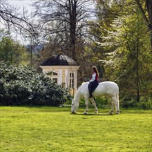 Rider Julia Temmler on Knabstrupper, white mare grazing, baroque horse, dressage riding, garden