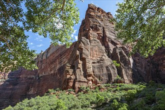 Rugged sandstone rock formation along the Weeping Rock Trail in Zion National Park, Utah