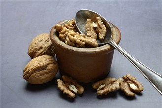 Walnut, walnuts in pots with spoon, Juglans regia