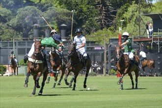 Scene from the 131st Argentine Open Polo Championship (Spanish: Campeonato Argentino Abierto de