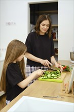 Mother and her daughter slicing organic cucumbers on wooden cutting board in the kitchen