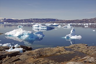 A calm fjord with floating icebergs and rocks under a clear sky, climate change, Tasiilaq, East