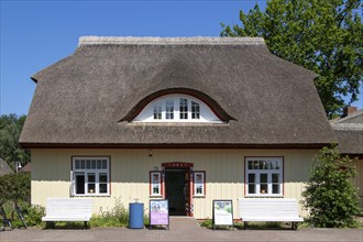 Thatched roof house, Prerow tourist information centre, Darß, Mecklenburg-Western Pomerania,