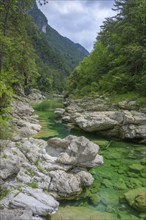 Emerald green river Pozze Smeraldine, Tramonti di Sopra, Province of Pordenone, Italy, Europe