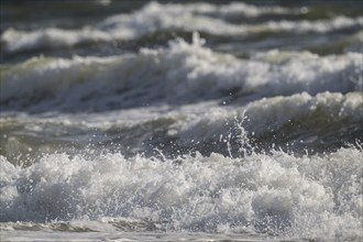 Surf, Waves, Søndervig Beach, North Sea, Denmark, Europe