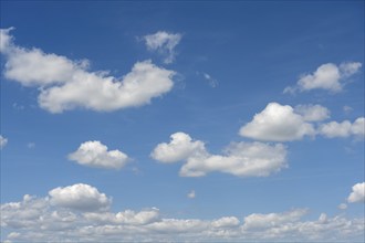 Fair weather clouds, Cumulus humilis, Cumulus mediocris, Germany, Europe