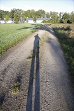 Shadow, person, landscape, alone, sunlight, funny, morning, A person casts his silhouette as a