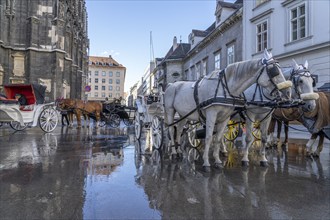 Fiaker waiting for customers, Vienna, Austria, Europe