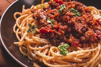 Spaghetti Bolognese, top view, close-up, no people, homemade