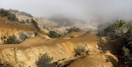 Clouds of fog, yellow earth, erosion, near Arguamul, La Gomera, Canary Islands, Spain, Europe