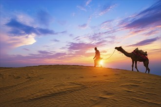 Indian cameleer camel driver bedouin with camel silhouettes in sand dunes of Thar desert on sunset.