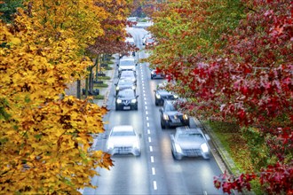 Autumn, road traffic, inner-city, trees in autumnal colours line a 4-lane road, symbolic image,