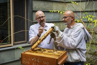 Jens Ardelt and State Secretary Thomas Kralinski hiving a beehive. Since the beginning of 2023,