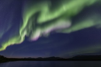 Northern lights, aurora borealis, lake, mountains, twilight, autumn, Torneträsk, Laponia, Lapland,