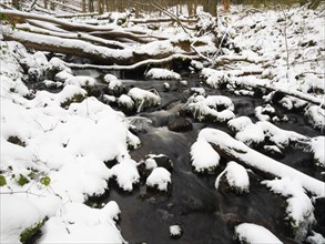 Hill Stream, the Schwartzbach, in snow and ice in November. The Rhön UNESCO Biosphere nature