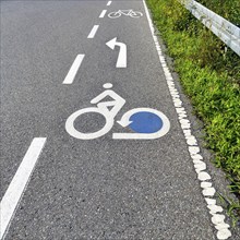 Cyclist pictogram, marking on asphalt, lane on Lake Constance cycle path, Lake Constance cycle