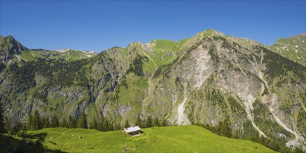 View from the Untere Lugenalpe to the Laufbacher-Eck-Weg and Schochen, 2100m, Allgäu Alps, Allgäu,