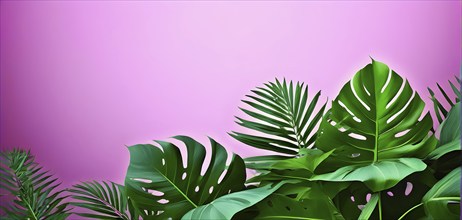 Collection of tropical leaves, foliage plant in green color with space background, AI generated