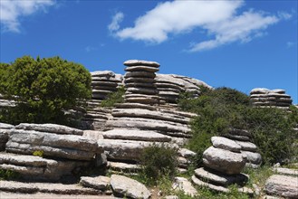 Rock formations under a clear blue sky with a few clouds and lush vegetation below, Karst