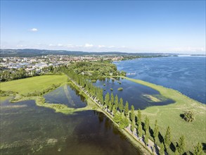 Aerial view of the Mooser Damm with the poplar avenue on the western part of Lake Constance. The