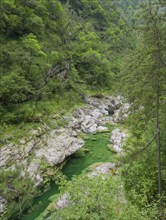 Emerald green river Pozze Smeraldine, Tramonti di Sopra, Province of Pordenone, Italy, Europe