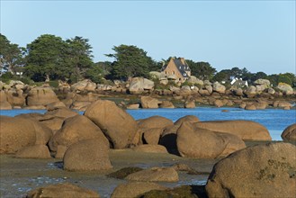 Rocky coastal landscape with houses and trees by the sea, Baie de Sainte-Anne, Trégastel,