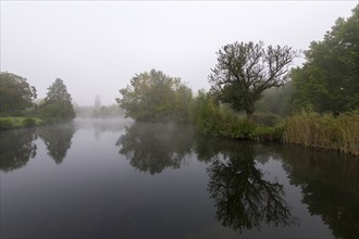 Foggy lake with trees and reflection in the water, quiet and mystical, Talaue, Waiblingen,