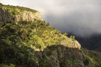 View from the Mirador Degollada de Peraza to the north. Rocks with palm trees in the sun, low