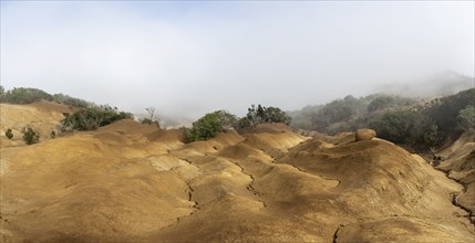 Clouds of fog, yellow earth, erosion, near Arguamul, La Gomera, Canary Islands, Spain, Europe