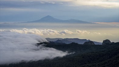 Sunrise, view of Mount Teide from Alto de Garajonay, Tenerife, Garajonay National Park, La Gomera,