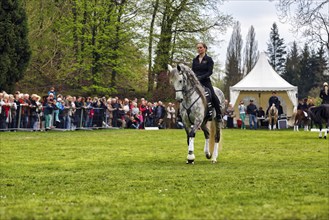 Rider on Andalusian, Pura Raza Española, dressage demonstration, audience, Garden Festival