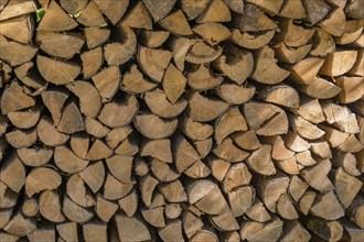 Stacked firewood, Allgäu, Bavaria, Germany, Europe