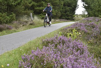 Cycling on the heather in Denmark