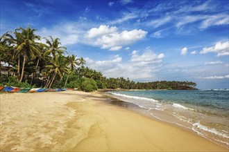 Tropical vacation holiday background, paradise idyllic beach. Mirissa, Sri lanka