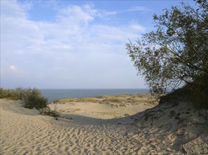 The Parnidis Dune in the Curonian Spit National Park is one of the largest shifting sand dunes in