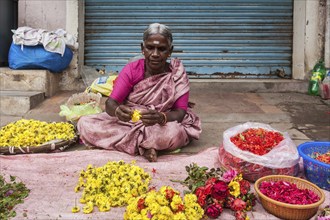 TIRUCHIRAPALLI, INDIA, FEBRUARY 14, 2013: Unidentified Indian woman, hawker (street vendor) of