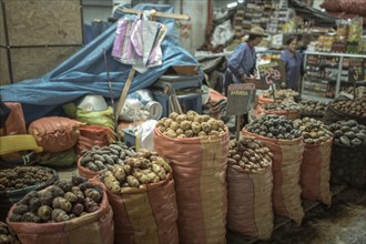 Potato variety, Mercado Mayorista, Huancayo, Peru, South America